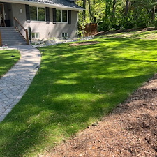 Sod Repair in Durham, NC 3